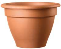 Terracotta Campana Pot